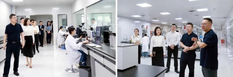 省衛(wèi)健委醫(yī)學(xué)科技發(fā)展中心主任雷軍帶隊調(diào)研晶易醫(yī)藥